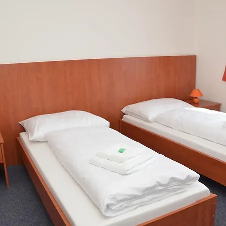 Hotel Ruzeny 3*